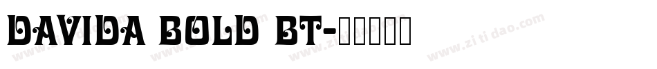 Davida Bold BT字体转换